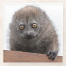 Suche nach primate untersetzer Baby