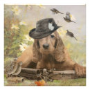 Suche nach cocker spaniel foto Cocktail