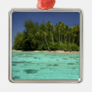 Suche nach polynesien ornamente Küste