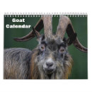 Suche nach ziege kalender Lamm