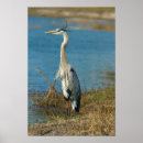 Suche nach pond poster Tiere