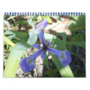 Suche nach hoch auf kalender Blume