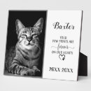 Suche nach beileid fotoplatten Katzengedenkmal