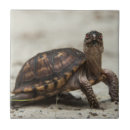 Suche nach oxford fliesen Grenze danita