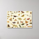 Suche nach eidechse leinwandbilder Packwagen