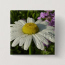 Suche nach botanik buttons Blume