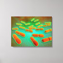 Suche nach biochemie leinwandbilder Illustration