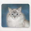 Suche nach himalaja mousepads Katze