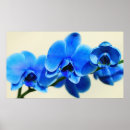 Suche nach mit orchideen poster Blumen
