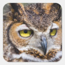 Suche nach uhu aufkleber Vogel