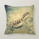 Suche nach bärtig kissen Eidechse