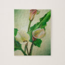 Suche nach calla puzzle Lilie