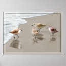 Suche nach ufer poster Ozean