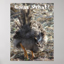 Suche nach lustige hühner poster Witz