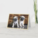 Suche nach pug karten Rasse