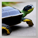 Suche nach schildkröte muschel poster Niedlich