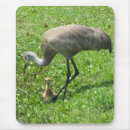 Suche nach küken mousepads Vögel