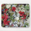 Suche nach tundra mousepads Natur