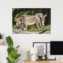 Suche nach zebra foto poster Afrika