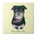 Suche nach mops fliesen Niedliche hunde