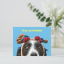Suche nach lustige weihnachts postkarten Weihnachten