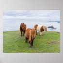 Suche nach shetland pony poster Ranch