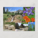 Suche nach wild lebende tiere postkarten Reise