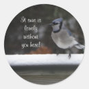 Suche nach blaues jay aufkleber Vogelaufkleber