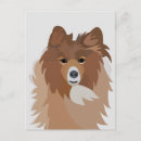 Suche nach sheltie poster Collie