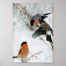 Suche nach hunting dog poster Animal