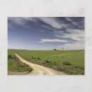 Suche nach getreide pflanze poster Landschaft