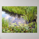 Suche nach himmel poster Natur