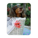 Suche nach nahaufnahme magnete Vertikal