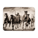 Suche nach wüste magnete Western