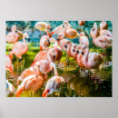 Suche nach verzieren sie poster Zoo