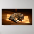 Suche nach fauler tag poster Katze