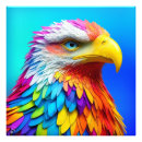 Suche nach bunter adler poster Vogelvogel