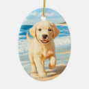 Suche nach labrador retriever ornamente Lustig