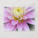 Suche nach dahlia karten Weisheit