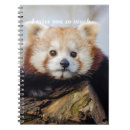 Suche nach panda kleine notizbücher Tragen