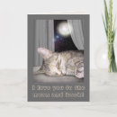 Suche nach liebe zum mond karten Katze