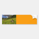 Suche nach gänse autoaufkleber Vogel