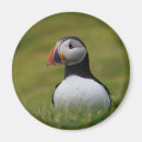 Suche nach bauer magnete Foto