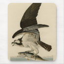 Suche nach vogelnest mousepads Vogelvogel