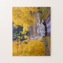 Suche nach schafe puzzle Scheune