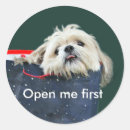 Suche nach shih tzu hund aufkleber Urlaub