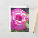 Suche nach bunte biene postkarten Blume