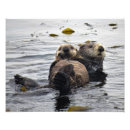 Suche nach seeotter kunst Meeressäuger