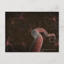 Suche nach neuronen poster Axon