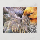 Suche nach wildente poster Natur